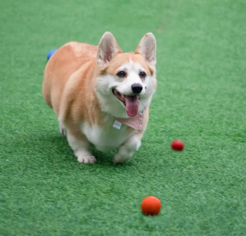 Dog Ball Indestructible Chew Bouncy Rubber Ball