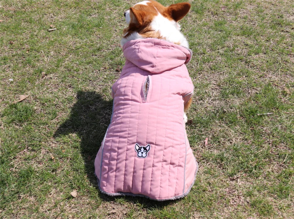 Winter Dog , Jacket Warm , Removable Hood