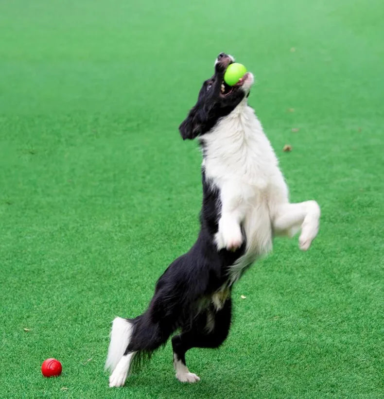 Dog Ball Indestructible Chew Bouncy Rubber Ball