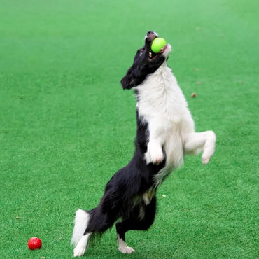 Dog Ball Indestructible Chew Bouncy Rubber Ball