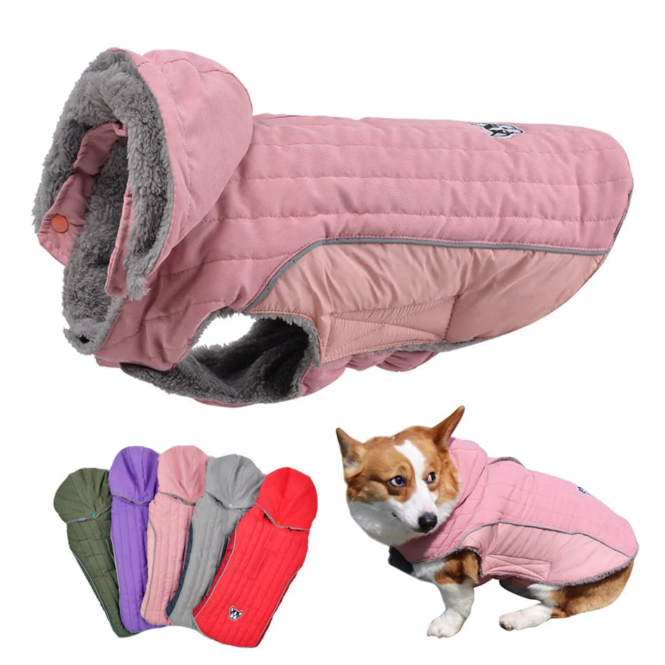 Winter Dog , Jacket Warm , Removable Hood