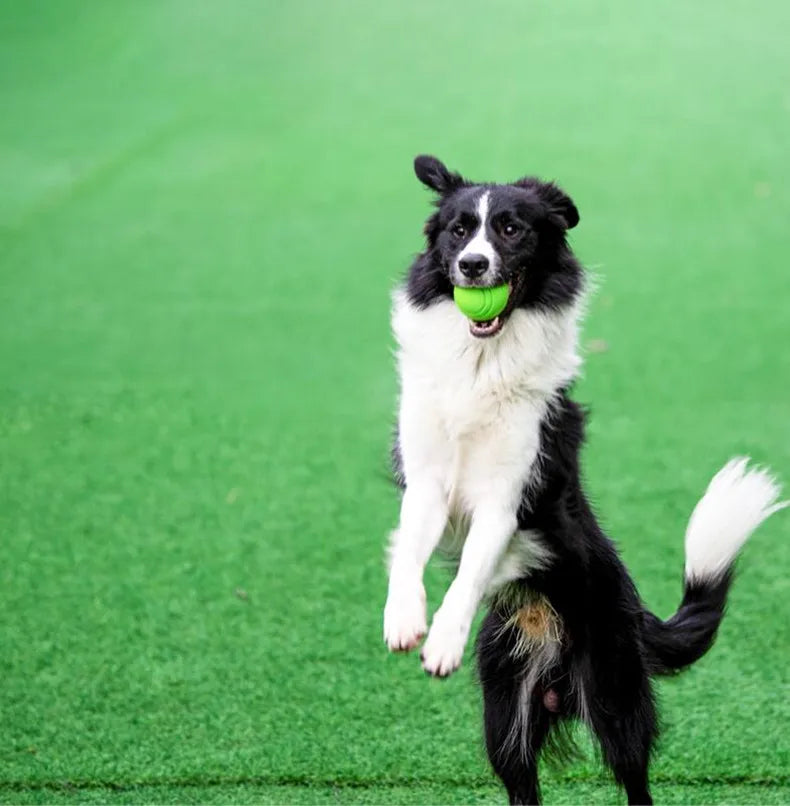 Dog Ball Indestructible Chew Bouncy Rubber Ball