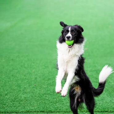 Dog Ball Indestructible Chew Bouncy Rubber Ball