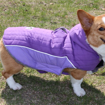 Winter Dog , Jacket Warm , Removable Hood