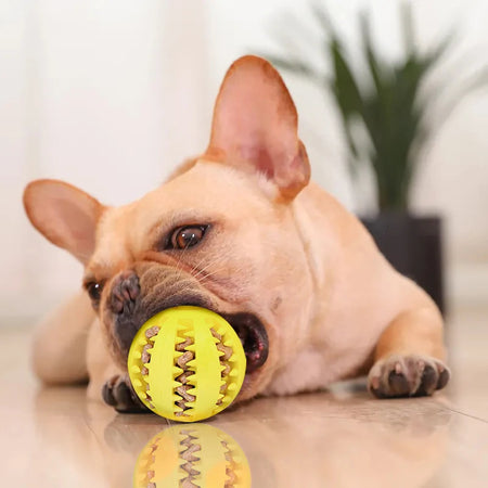 Rubber Tooth Cleaning Snack Ball For Dogs Chew Toys