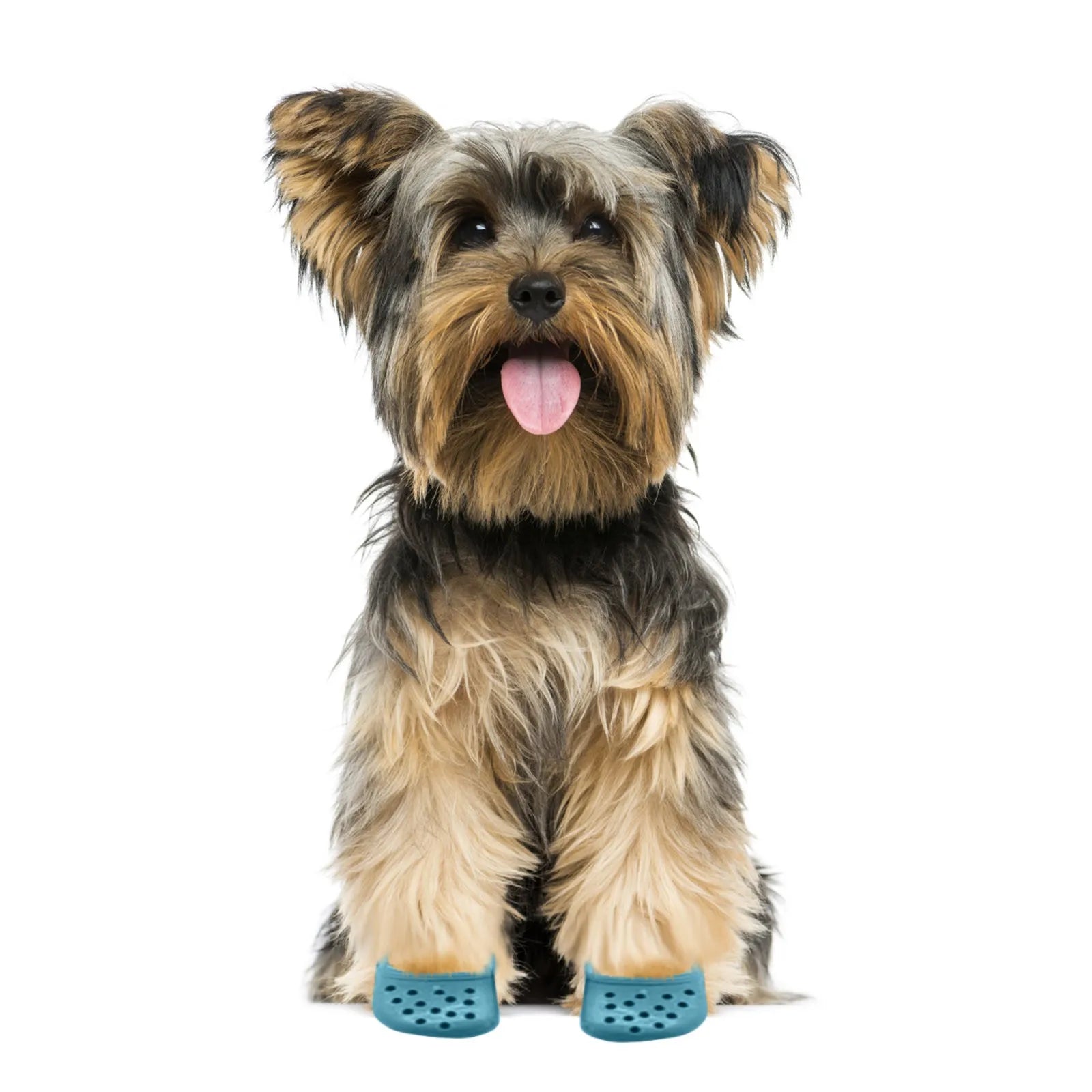 Pet Shoes Cat And Dog  Decorative Shoes Suitable For Pet