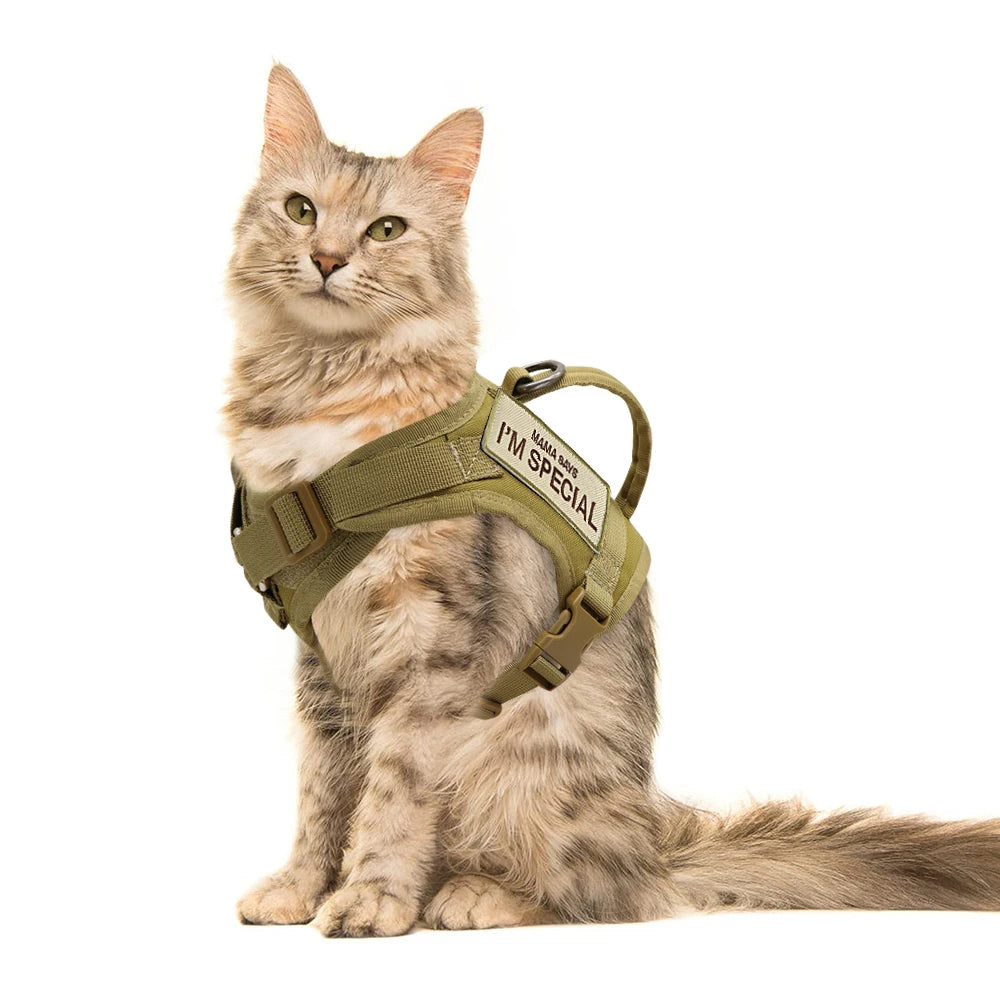 Nylon Cat Harness Vest With Handle Cats Small Dogs