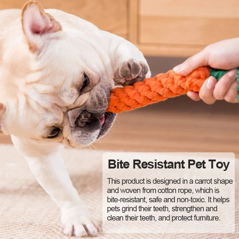 Chew Toys for Small Dogs Cleaning Teeth Dog Toys Bite Resistant