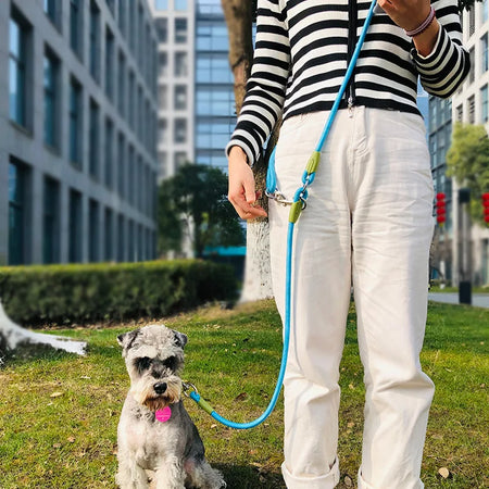 Dog Walking Free Hands Rope for Small to Large Dogs