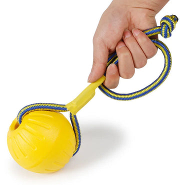 Pet Dog Toy Ball with Rope Outdoor Puppy Interactive Training Toy