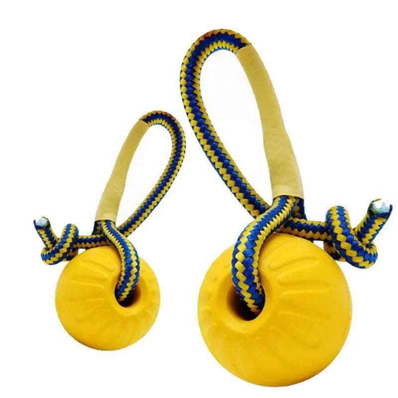 Pet Dog Toy Ball with Rope Outdoor Puppy Interactive Training Toy