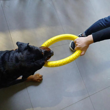 Dog Ring Toys Indestructible Chewing Flying Floating Training