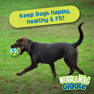 Wobble Wag Giggle Glow Ball Dog Toy