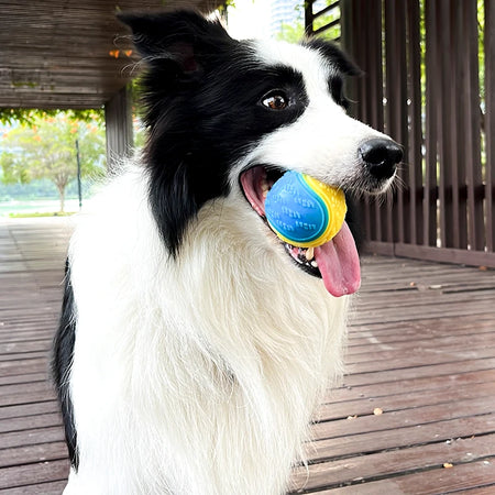 Dogs  Interactive Toys,  for Dog Pet Teeth Cleaning Bite Resistance Squeaky Dog Ball Toy