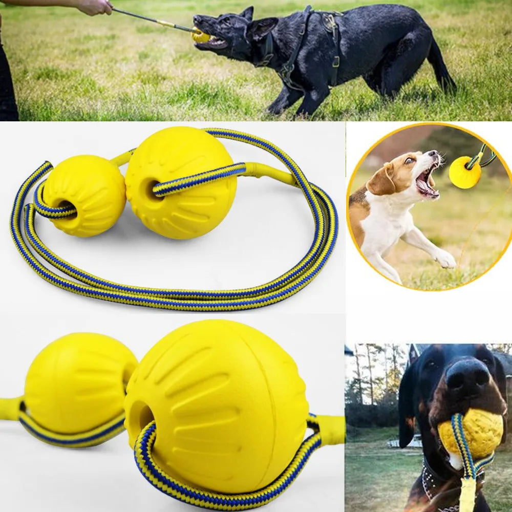 Pet Dog Toy Ball with Rope Outdoor Puppy Interactive Training Toy