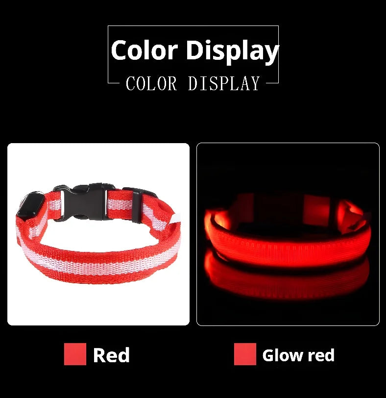 Dog Collar Nylon LED Night Safety Flashing Glow In The Dark