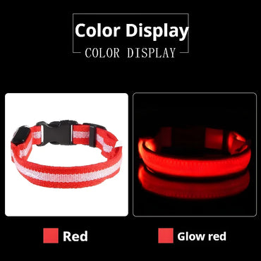 Dog Collar Nylon LED Night Safety Flashing Glow In The Dark