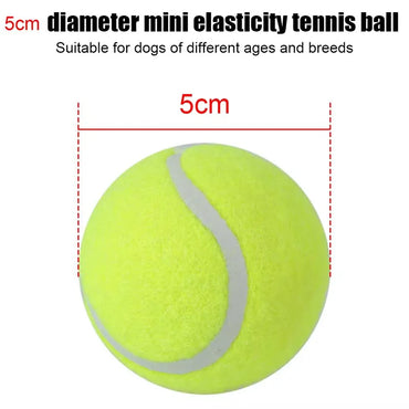 Dog ball Launcher  Automatic Pet Dogs Chase Toy Interactive