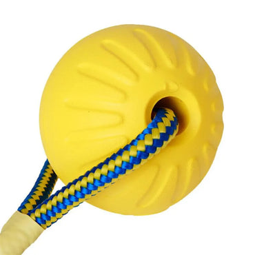 Pet Dog Toy Ball with Rope Outdoor Puppy Interactive Training Toy