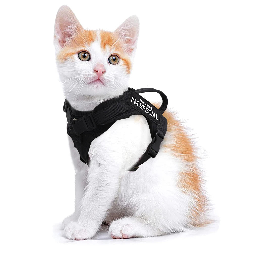 Nylon Cat Harness Vest With Handle Cats Small Dogs