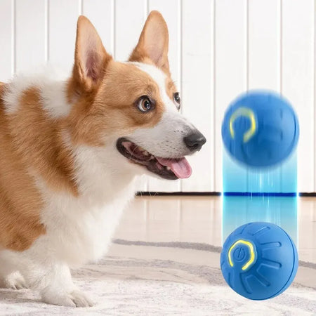 Automatic Moving Cat - Dog Toy Ball Smart USB Jumping Rotating Interactive