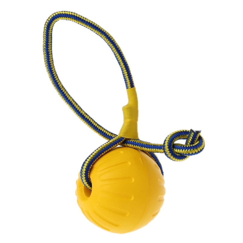 Pet Dog Toy Ball with Rope Outdoor Puppy Interactive Training Toy