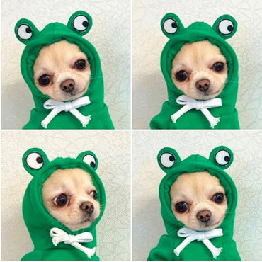 Dog Frog Hoodies - Small Dogs