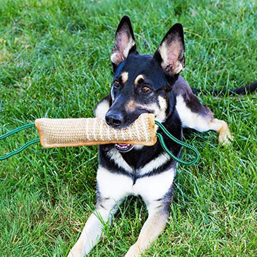 Durable Dog Training Tug Toy Dog Bite Stick Pillow