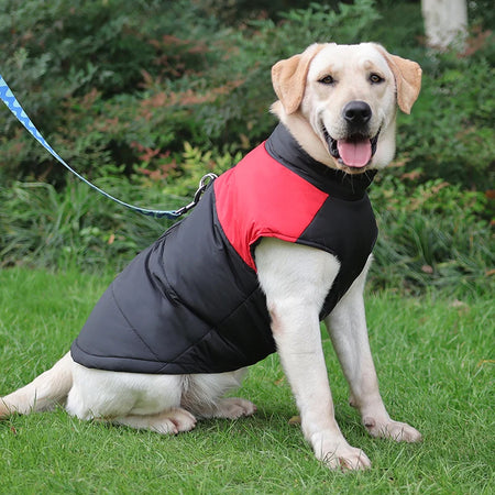 Dog Waterproof Coat